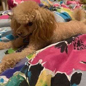 Meet your Posher, Kimberly